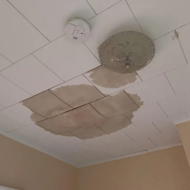 Ceiling Water Damage Repair in Factoryville, PA