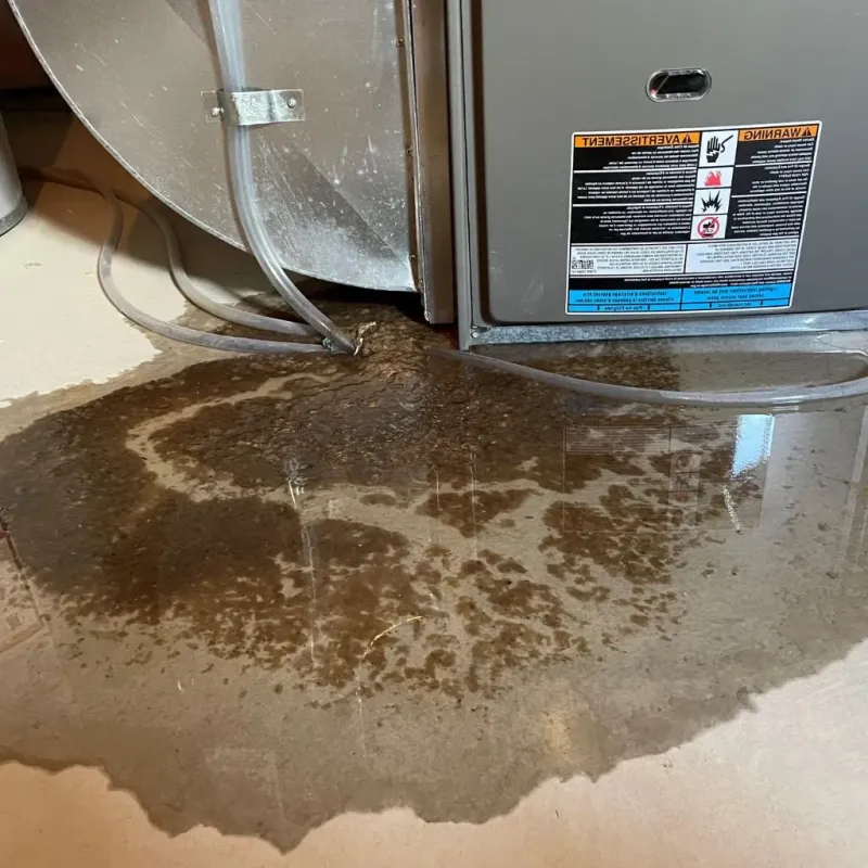 Pipe Burst and Leak Restoration in Factoryville, PA