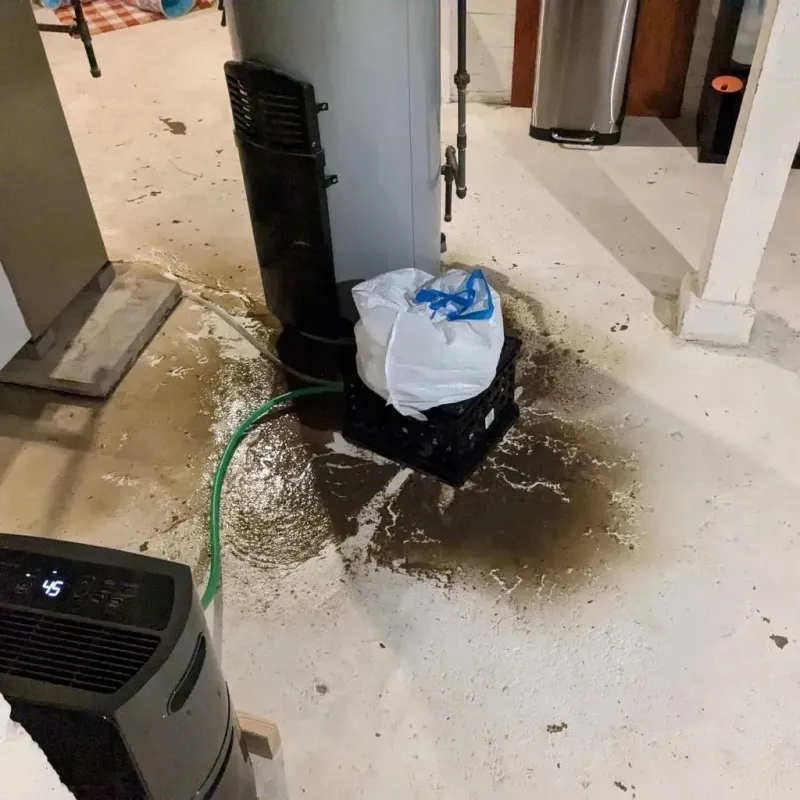 Sewage Backup Cleanup Service in Factoryville, PA